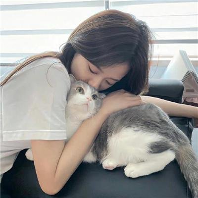 孔雀南飞